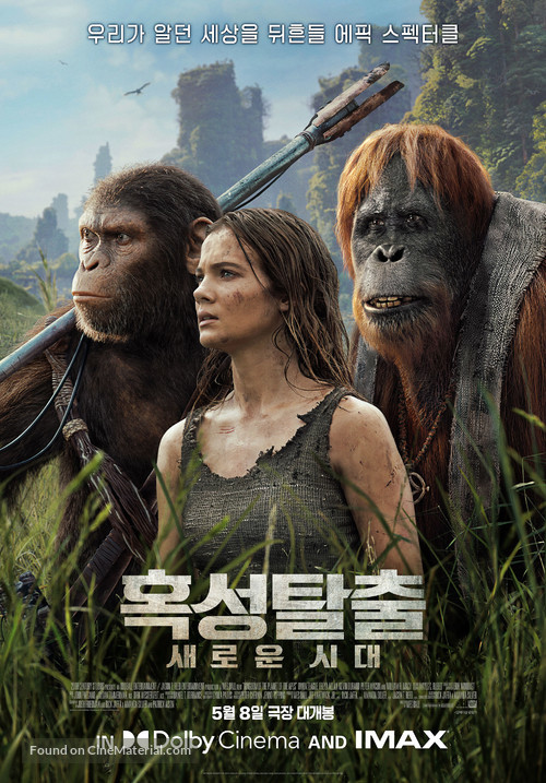 Kingdom of the Planet of the Apes - South Korean Movie Poster