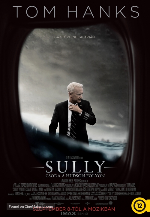 Sully - Hungarian Movie Poster