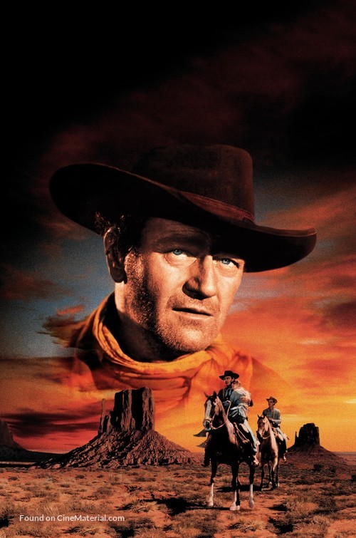 The Searchers - Key art