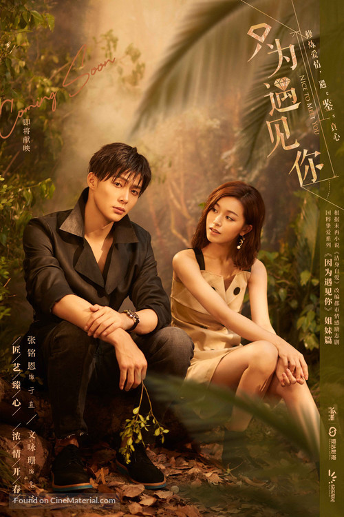 &quot;Nice to Meet You&quot; - Chinese Movie Poster