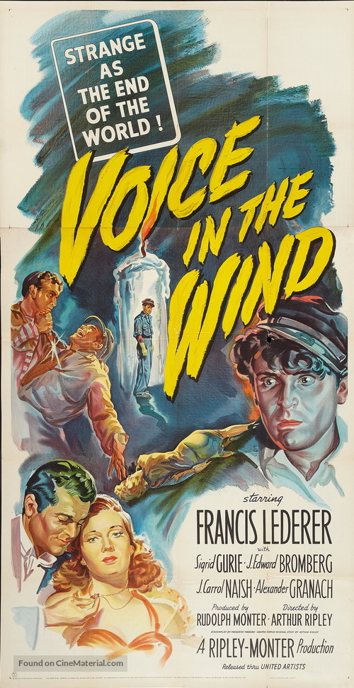 A Voice in the Wind - Movie Poster