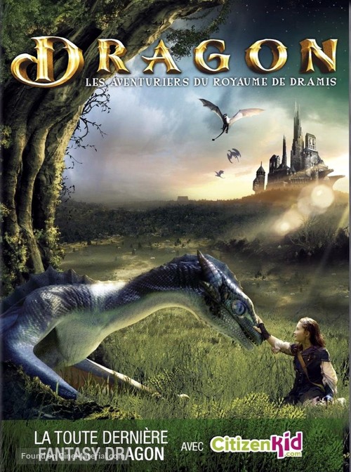 The Christmas Dragon - French DVD movie cover