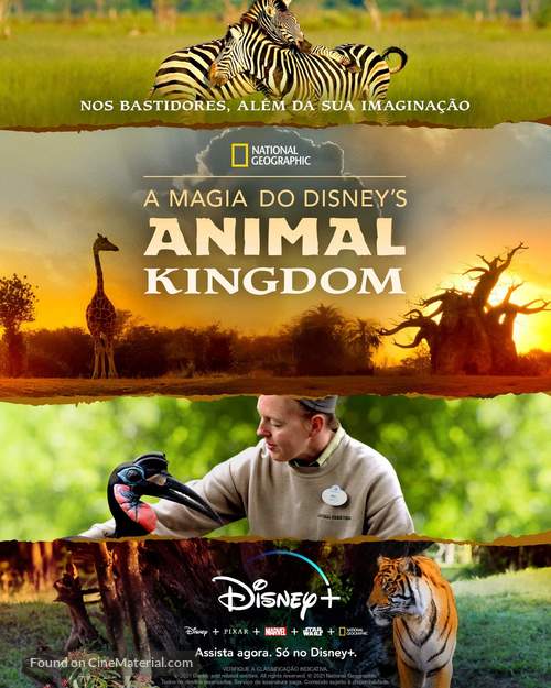 &quot;Magic of Disney&#039;s Animal Kingdom&quot; - Brazilian Movie Poster