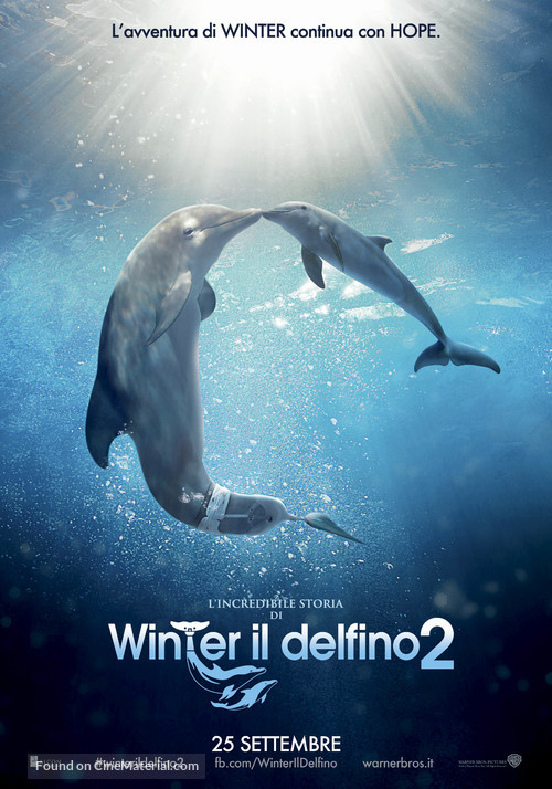 Dolphin Tale 2 - Italian Movie Poster