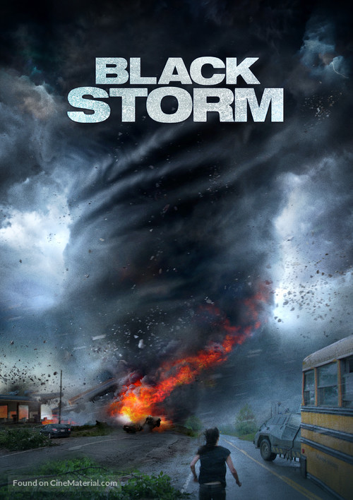 Into the Storm - French Movie Poster