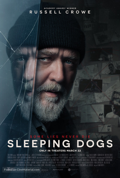 Sleeping Dogs - Movie Poster