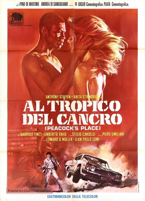 Al tropico del cancro - Italian Movie Poster