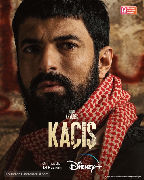 &quot;Ka&ccedil;is&quot; - Turkish Movie Poster