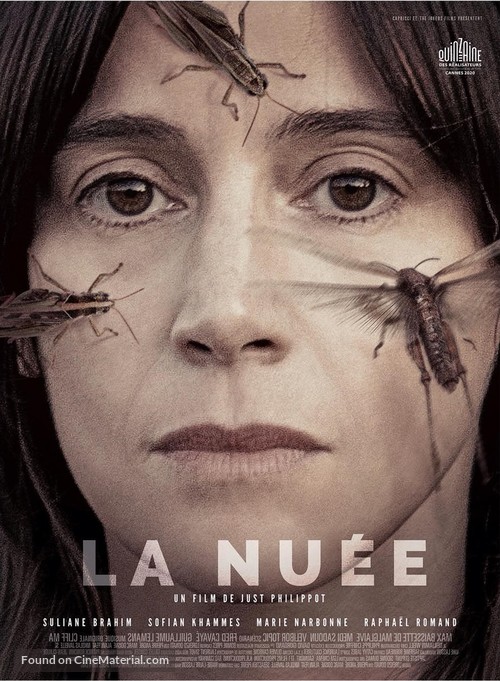 La nu&eacute;e - French Movie Poster