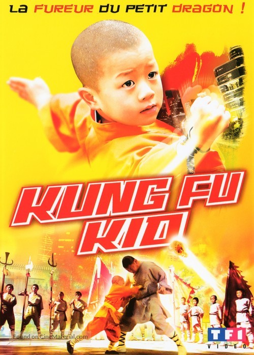 Ganfu kun - French DVD movie cover