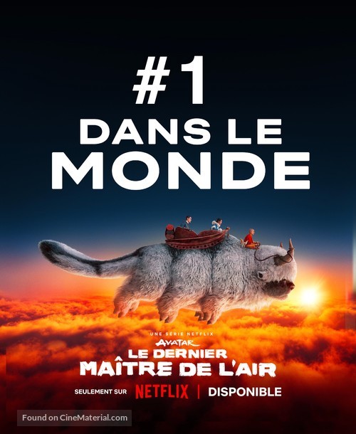 &quot;Avatar: The Last Airbender&quot; - French Movie Poster