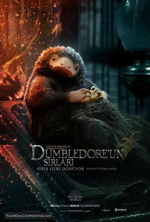 Fantastic Beasts: The Secrets of Dumbledore - Turkish Movie Poster