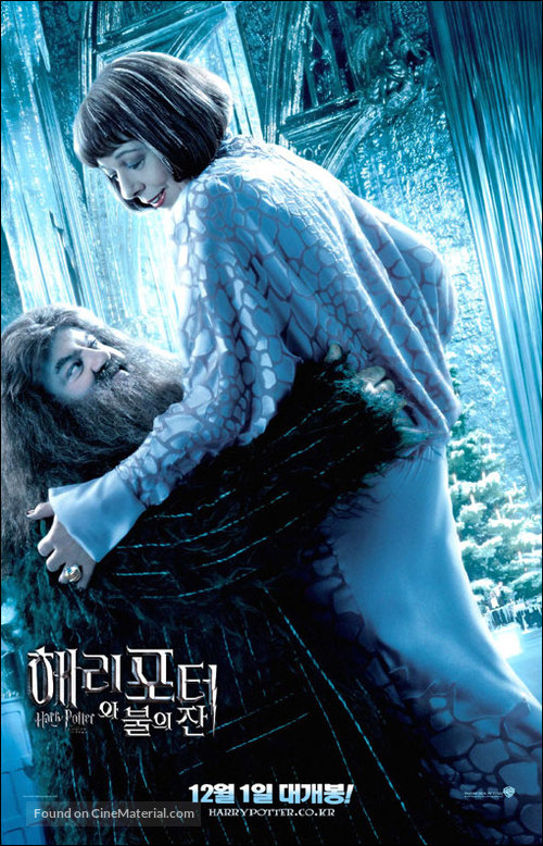 Harry Potter and the Goblet of Fire - South Korean Movie Poster