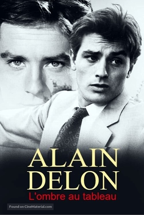 &quot;L&#039;ombre au tableau&quot; Alain Delon - French Video on demand movie cover