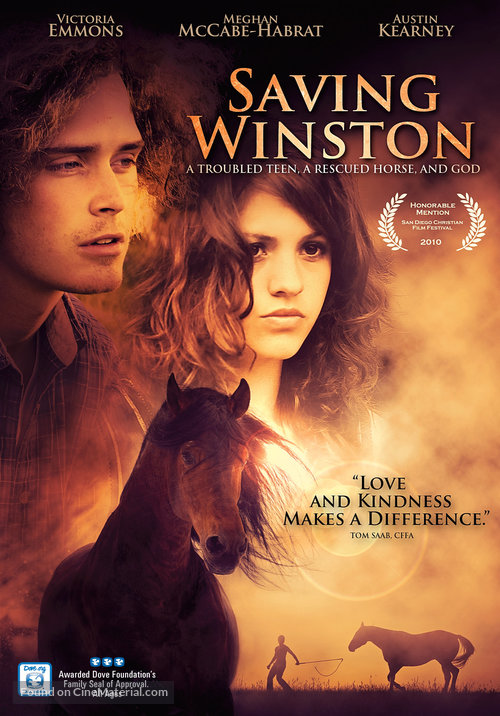 Saving Winston - DVD movie cover