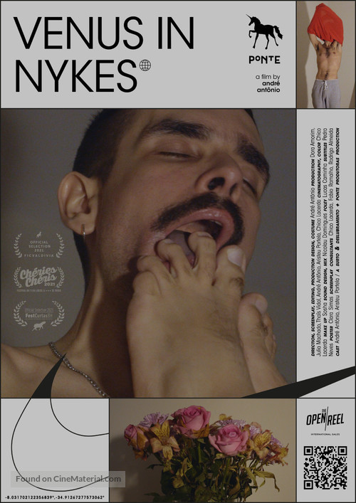 V&ecirc;nus de Nyke - Brazilian Movie Poster