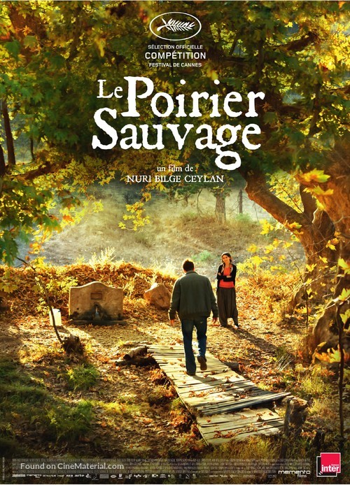 Ahlat Agaci - French Movie Poster