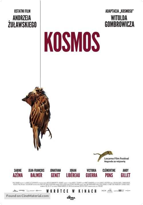 Cosmos - Polish Movie Poster