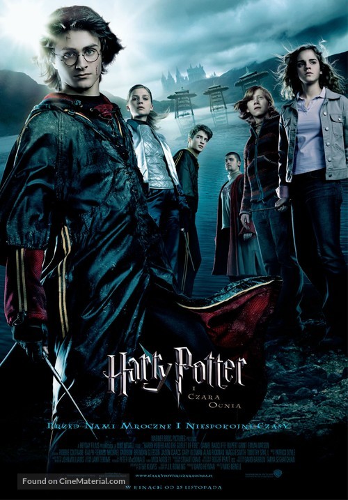 Harry Potter and the Goblet of Fire - Polish Movie Poster
