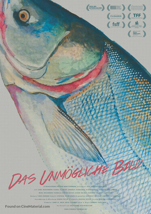 Das unm&ouml;gliche Bild - German Movie Poster