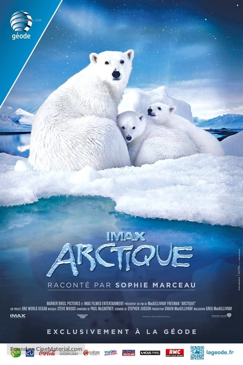 To the Arctic 3D - French Movie Poster