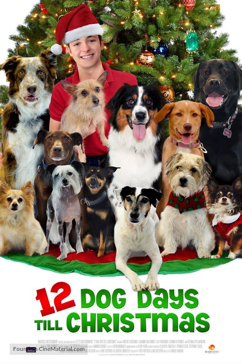 12 Dog Days of Christmas - Movie Poster