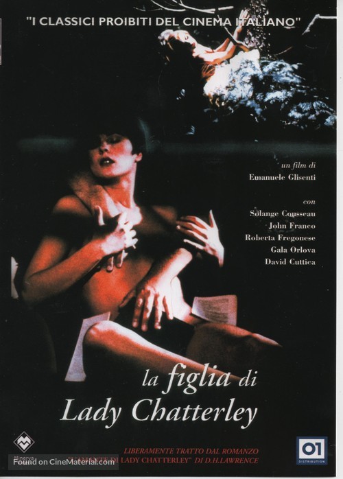 Un viaggio meraviglioso - Italian DVD movie cover