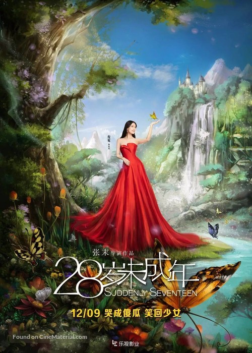 Suddenly Seventeen - Chinese Movie Poster