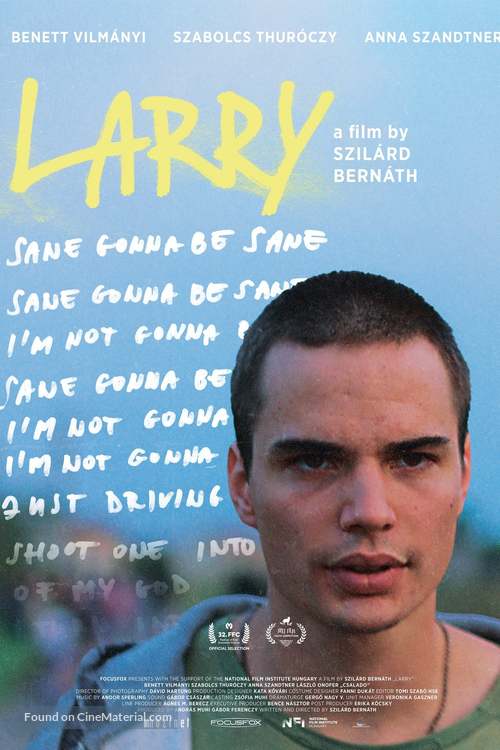 Larry - International Movie Poster