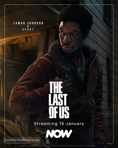 &quot;The Last of Us&quot; - Irish Movie Poster