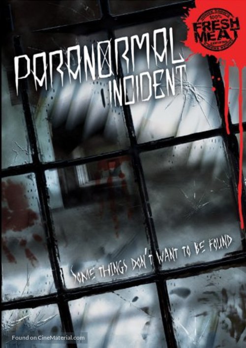 Paranormal Incident - DVD movie cover