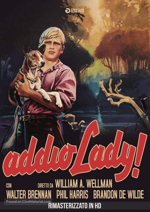 Good-bye, My Lady - Italian DVD movie cover