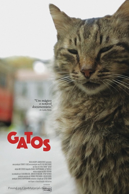 Kedi - Brazilian Movie Poster