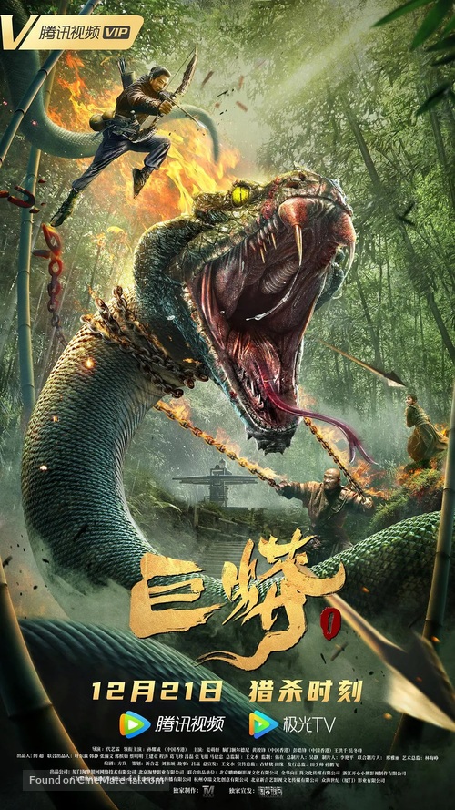 The Python - Chinese Movie Poster