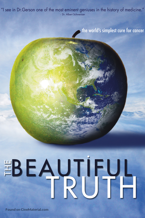 The Beautiful Truth - DVD movie cover