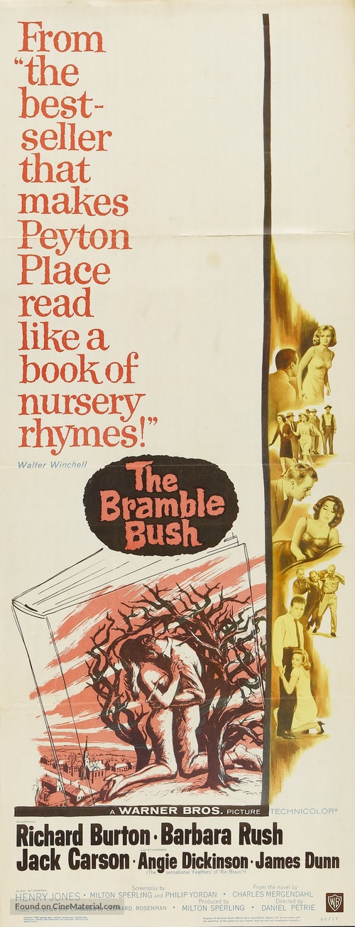 The Bramble Bush - Movie Poster