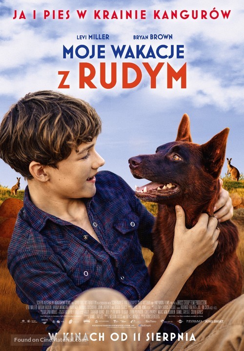 Red Dog: True Blue - Polish Movie Poster