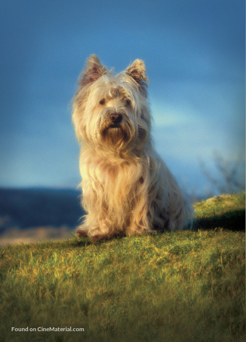 Greyfriars Bobby - Key art