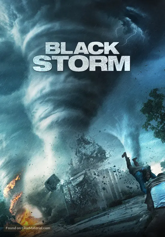 Into the Storm - French Video on demand movie cover