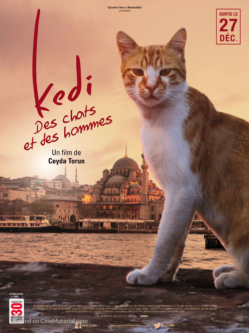Kedi - French Movie Poster