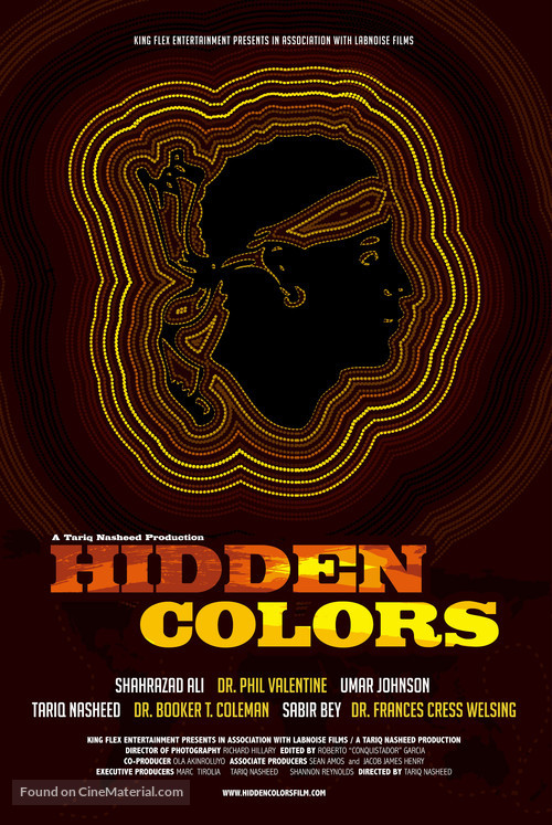 Hidden Colors - Movie Poster