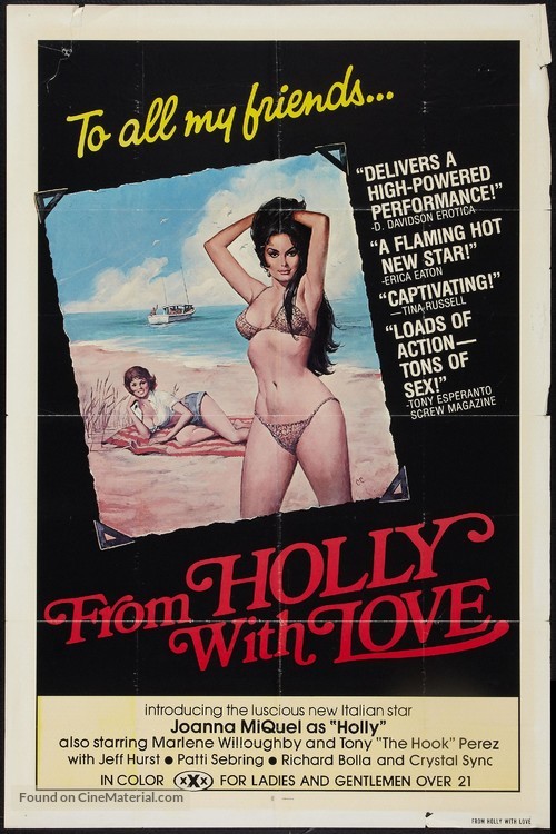 From Holly with Love - Movie Poster