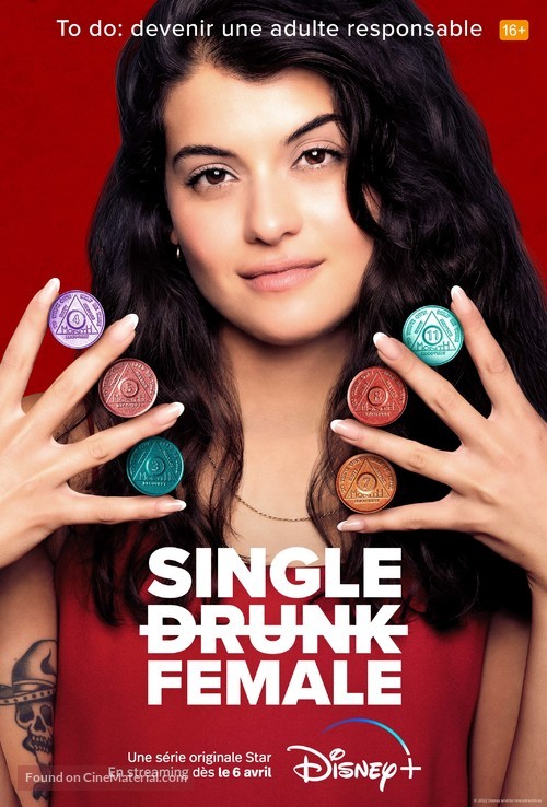 &quot;Single Drunk Female&quot; - French Movie Poster