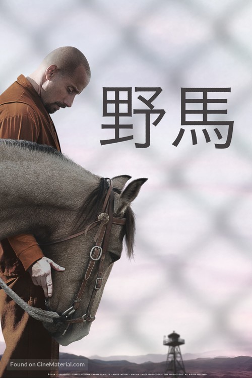 The Mustang - Chinese Movie Cover