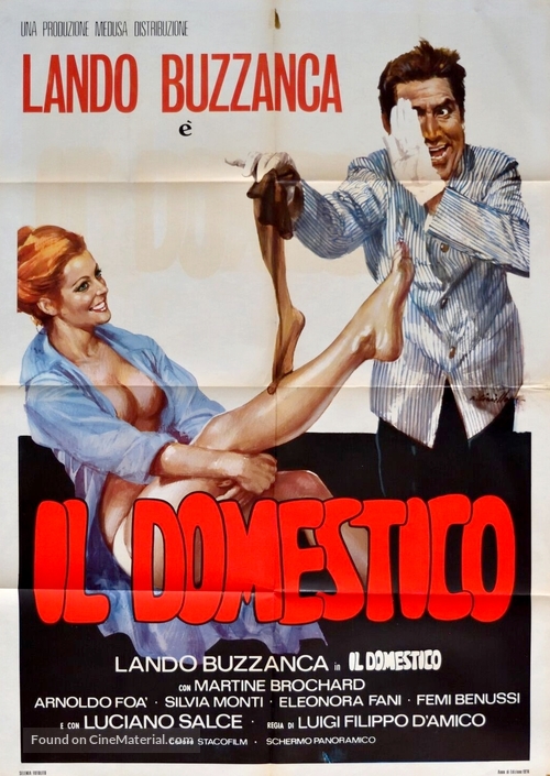 Il domestico - Italian Movie Poster