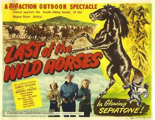Last of the Wild Horses - Movie Poster