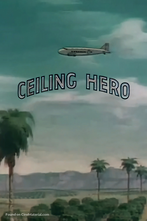 Ceiling Hero - Movie Poster