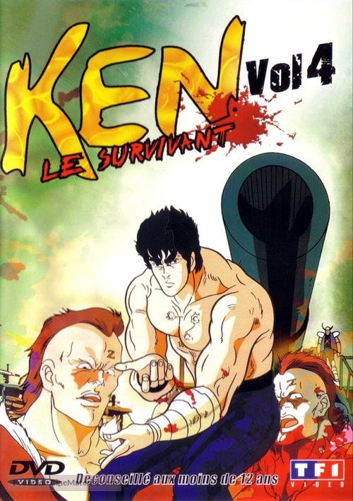 &quot;Hokuto no Ken&quot; - French DVD movie cover