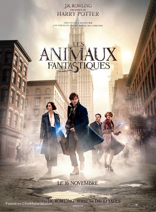 Fantastic Beasts and Where to Find Them - French Movie Poster