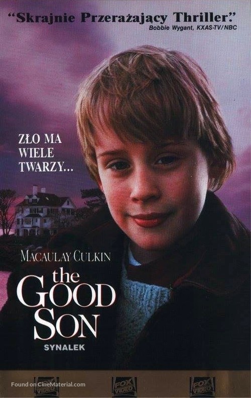 The Good Son - Polish Movie Cover